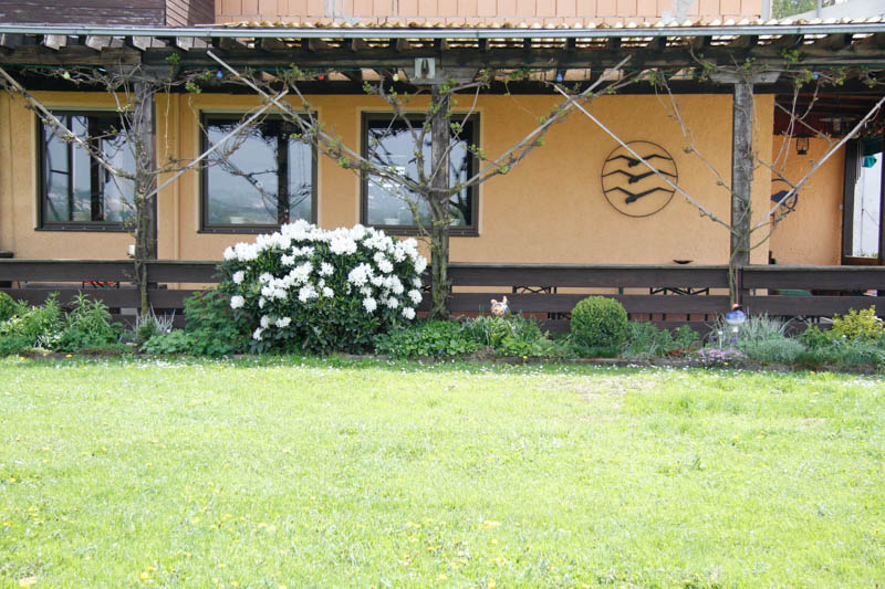 Sonnenterrasse